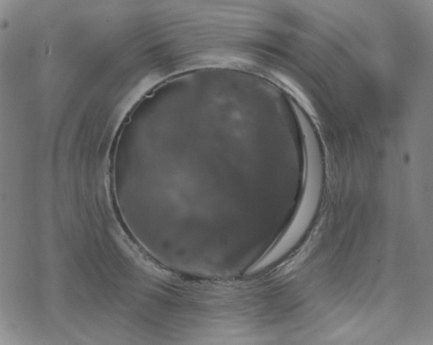 X0000072540899200607141224