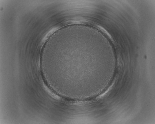 X0000072540938200607141224