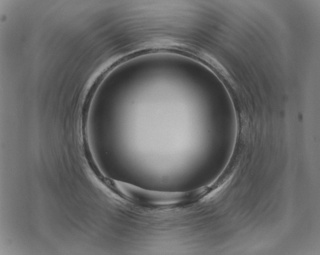X0000072540939200607141224