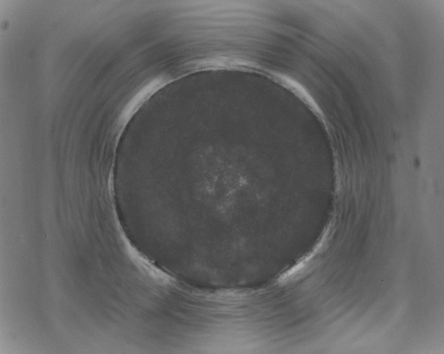 X0000072540946200607141224