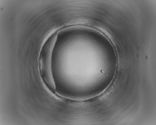 X0000072540949200607141224