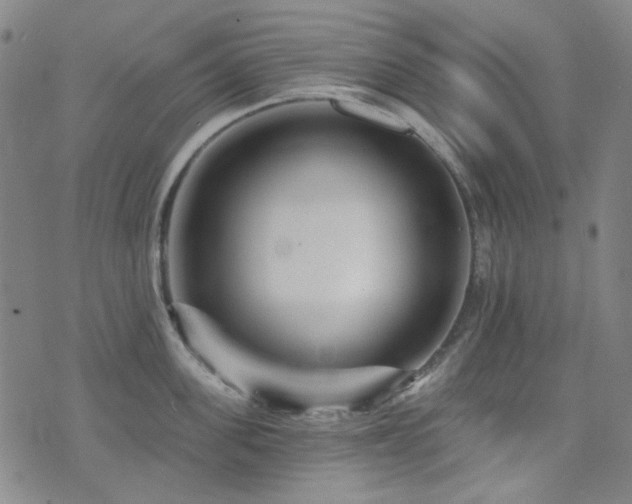 X0000072540955200607141224