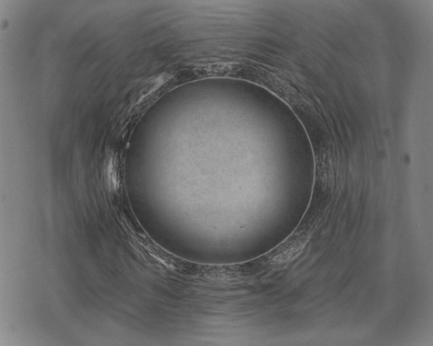 X0000072540962200607141223