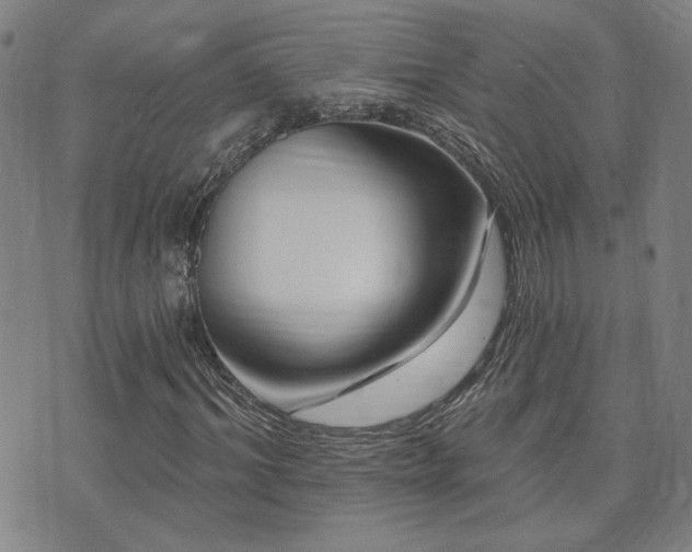 X0000072540964200607141223