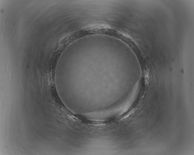 X0000072540965200607141223
