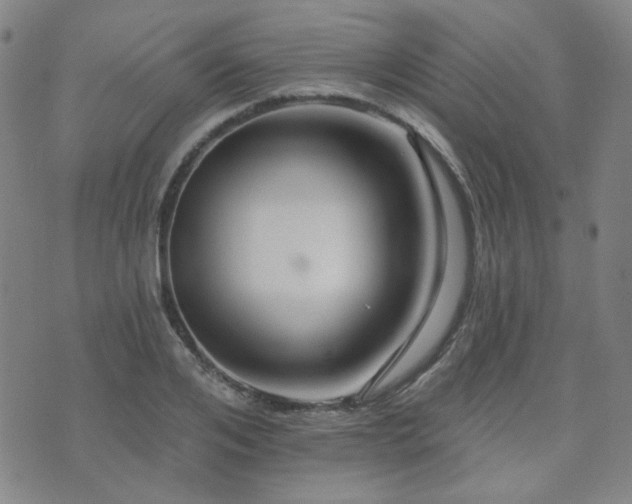 X0000072540984200607141223