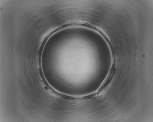 X0000072540987200607141223