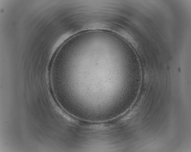 X0000072540990200607141223