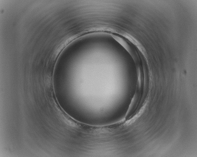 X0000072540993200607141223