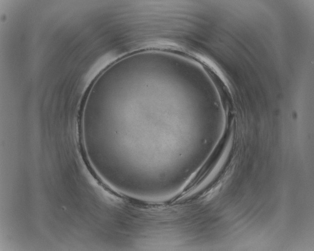 X0000072540999200607141223