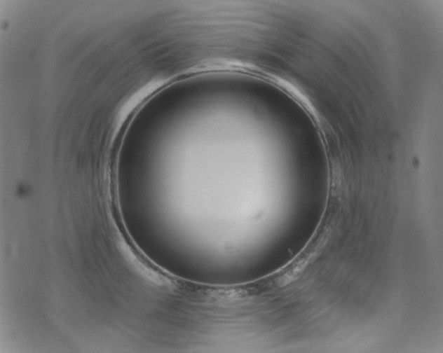 X0000072541003200607141223