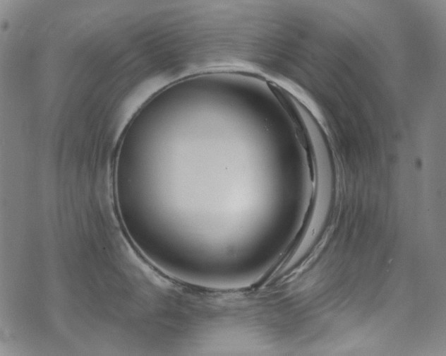 X0000072541006200607141223