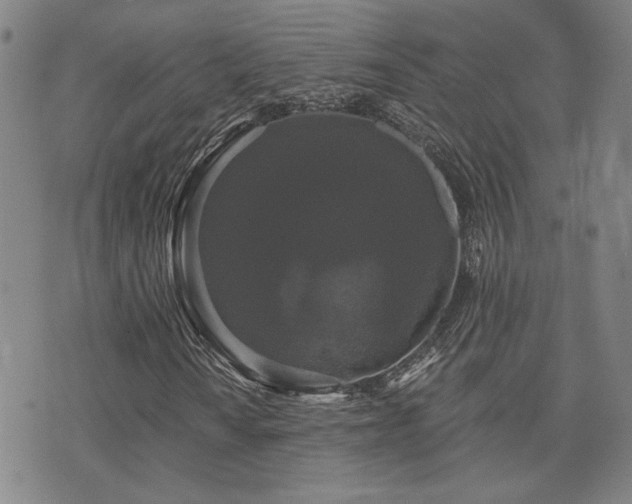 X0000072541010200607141222