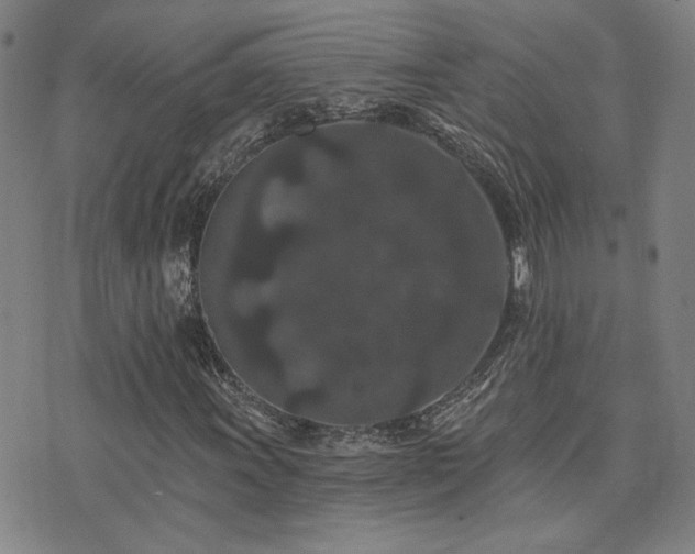 X0000072541011200607141222