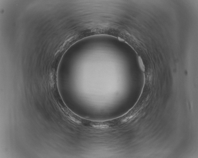 X0000072541012200607141222