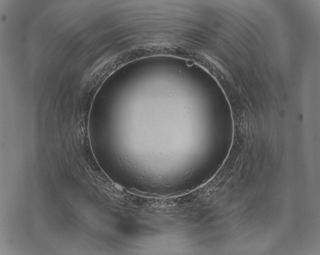 X0000072541015200607141222