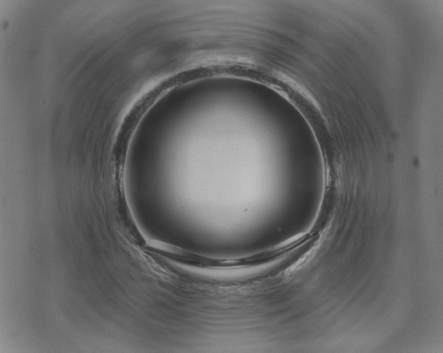 X0000072541021200607141222