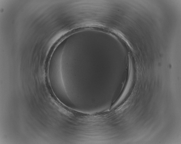 X0000072541024200607141222