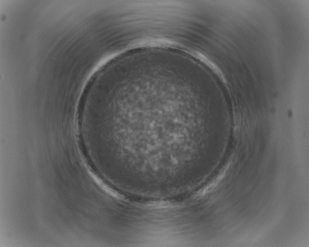 X0000072541037200607141222