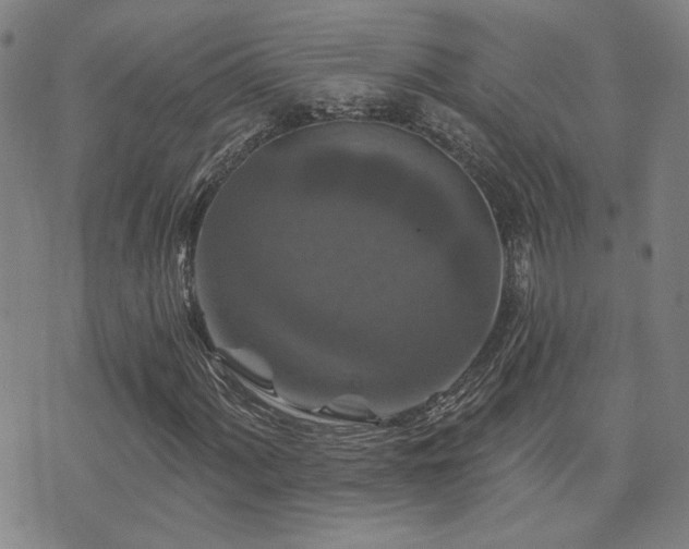 X0000072541060200607141222