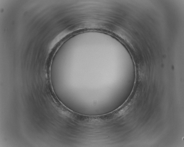 X0000072541070200607141222