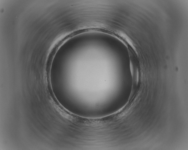 X0000072541072200607141222