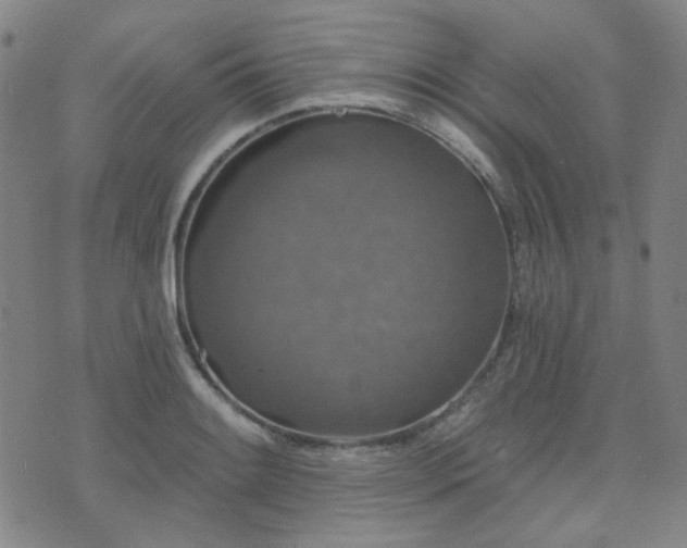 X0000072541084200607141221