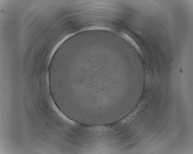 X0000072541092200607141221