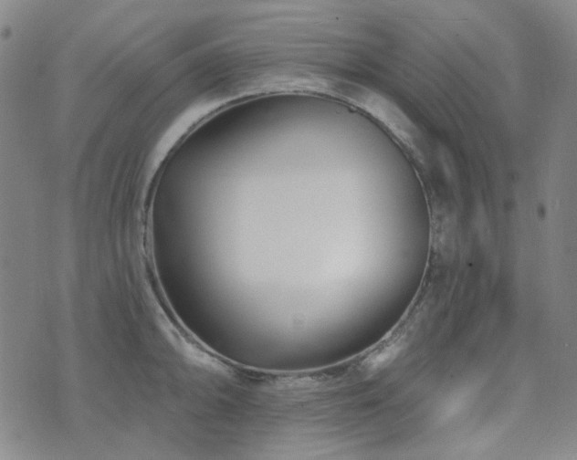 X0000072541094200607141221