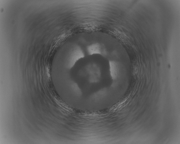 X0000072541106200607141220