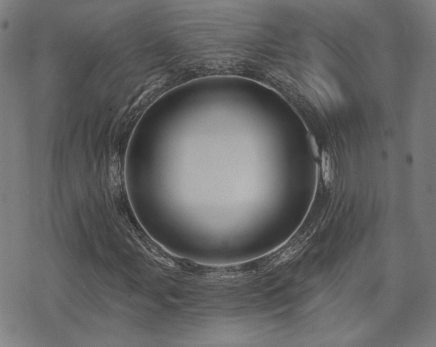 X0000072541107200607141220