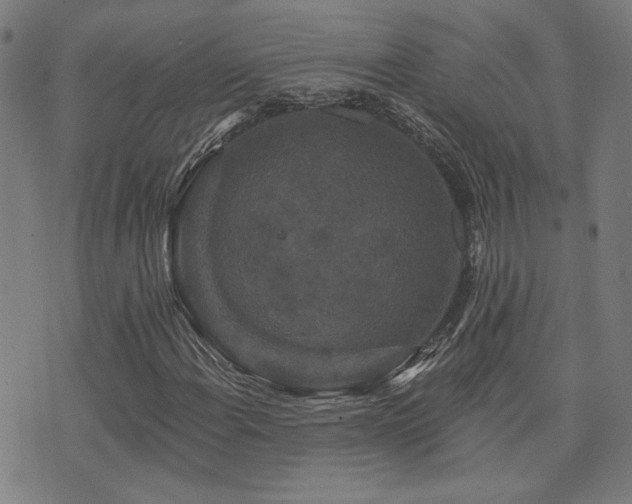 X0000072541108200607141220