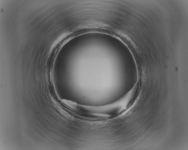 X0000072541114200607141220