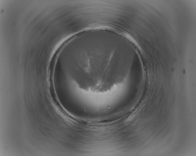 X0000072541124200607141221