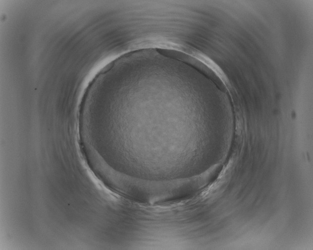 X0000072541144200607141221