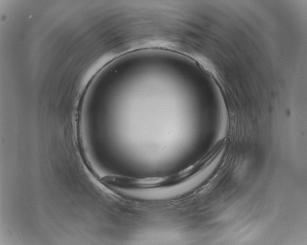X0000072541151200607141221