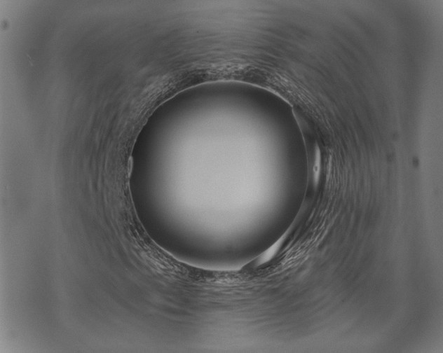 X0000072541153200607141220