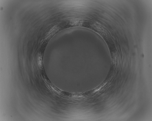 X0000072541154200607141220