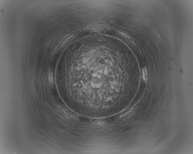 X0000072541155200607141220