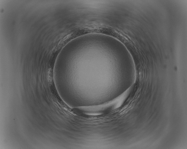 X0000072541156200607141220