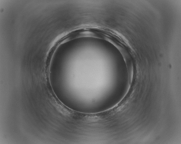 X0000072541168200607141220