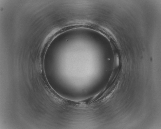 X0000072541172200607141220