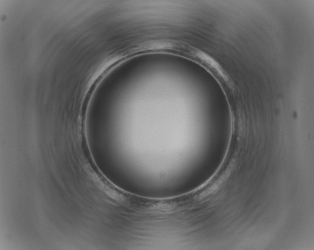 X0000072541178200607141220