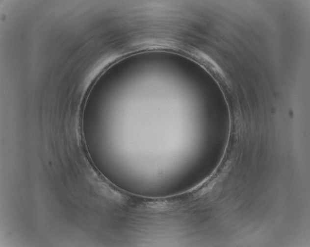 X0000072541182200607141220