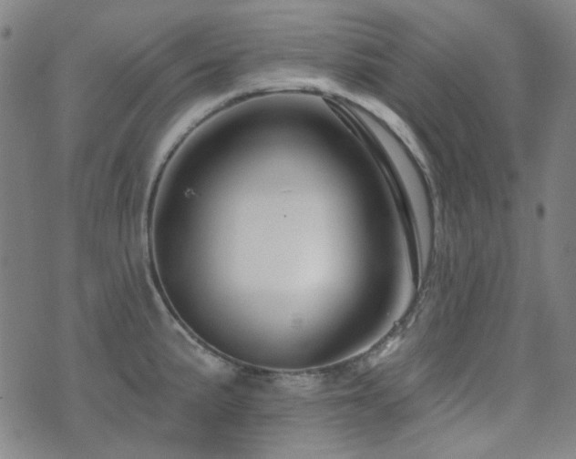 X0000072541191200607141220