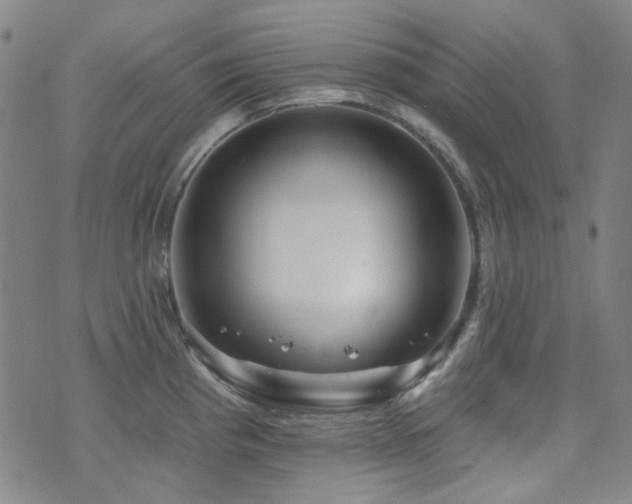 X0000072541193200607141220