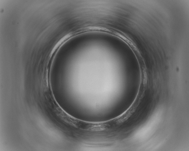 X0000072541198200607141219