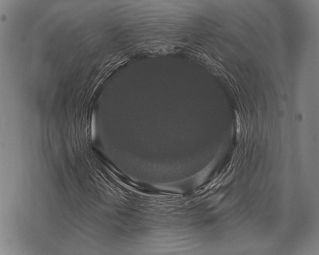 X0000072541202200607141219