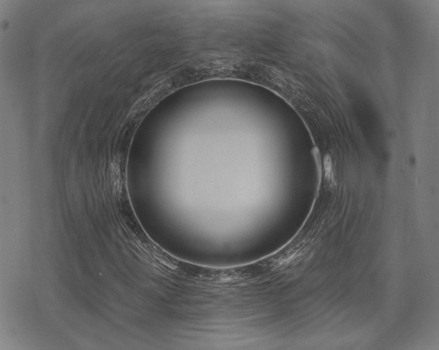 X0000072541203200607141219