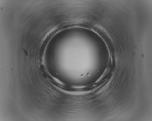 X0000072541210200607141219